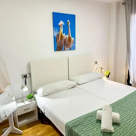 Bielsa Del Pilar Turistea Apartment Zaragoza Exterior photo